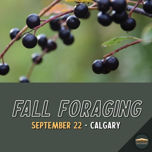 Survival: Fall Foraging - Calgary